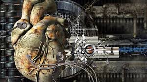 Zudem besteht bei manchen herzmuskelentzündungen eine ansammlung von flüssigkeit zwischen herzmuskel und herzbeutel. Entzundung Am Herz Zdfmediathek