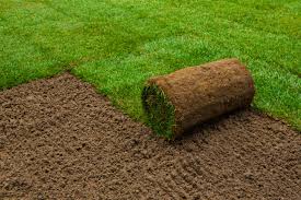 Preparing and Caring for New Sod - Advanced Turf Solutions