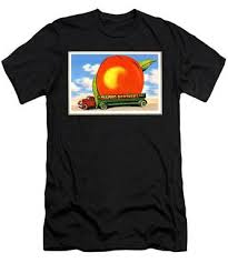 This website uses cookies, which are necessary for the technical operation of the website and are always set. Allman Brothers Band T Shirts Fine Art America