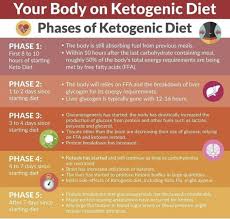 Stages Of Ketosis Keto Diet Metabolic Diet Ketogenic Diet