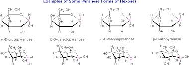 An anomer is a type of geometric variation found at certain atoms in carbohydrate molecules. Cyclic Structures Of Monosaccharides Anomers