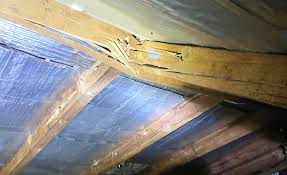 The basic step you can take to find a reliable pest. Disclosure Selling A Home With Termite Damage Infestation