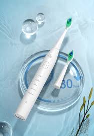 Bàn chải đánh răng điện PISEN PIN-Oral TP-P01 (Sonic)