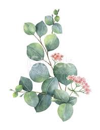 Watercolor Vector Wreath With Green Eucalyptus Leaves And Branches Aquarell Eukalyptus Blatter Zweige