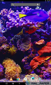 Aquarium live wallpaper is an animated wallpaper for android phones that puts a relaxing although the aquarium live wallpaper ran smoothly on both the samsung galaxy sii and the htc. Aquarium Live Wallpaper App Store For Android Wallpaper App Store Livewallpaper Io