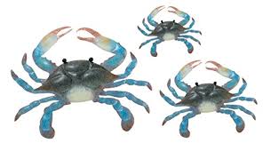 Crafted with durable aluminum, this multicolor piece is ideal for cottages or kitchens. Regal Art And Gift 5418 Crab Wall Art Blue Buy Online In Angola At Angola Desertcart Com Productid 23422746