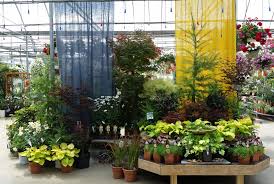 Award Winning Perennial Display Sipkens Nurseries Garden Center Displays Garden Images Garden