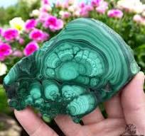 Natural Green Malachite Slice: Polished Crystal Healing Stone