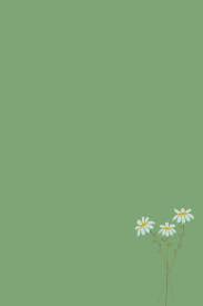 Sage Green Emerald Wallpaper Daisy Iphone Wallpaper Green Mint Green Wallpaper Sage Green Wallpaper