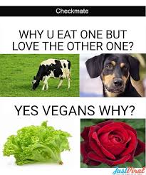 Funny short jokes make you laugh out loud, most times uncontrollably. 32 Funny Pictures To Make Someone Laugh Really Hard Justviral Net Funny Pictures Funny Memes Funny