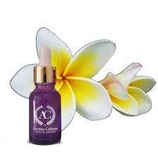 Get Champaca Essential Oil 100 Pure At Aromacelesta We Also Provide Boronia Essential Oil Absolu Honeysuckle Essential Oil Pure Essential Oils Pure Products
