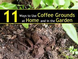 For soils that lack nitrogen, the boost that coffee grounds provide can be very helpful. 11 Ways To Use Coffee Grounds In The Garden