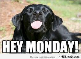 Maybe you would like to learn more about one of these? Monday Motivation Meme Funny