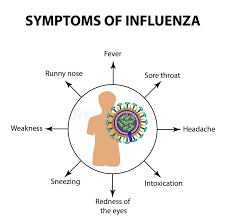 Influenza, or the flu, is a respiratory illness that is very common during the winter months. Symptoms Infections Of The Influenza Virus Infographics Vector Illustration On Isolated Background Stock Vector Illustration Of Design Illness 96938826