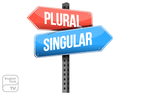 Three aircraft (spacecraft, hovercraft, etc.) six head of cattle look up aircraft and head (as in of cattle) in a dictionary. Plural And Singular Nouns Comprehensive Expression