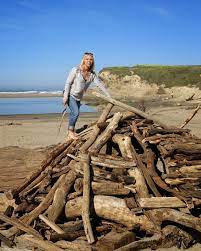 Driftwood Beaches Near Me Driftwood San Gregorio