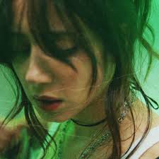 Image result for Frommia