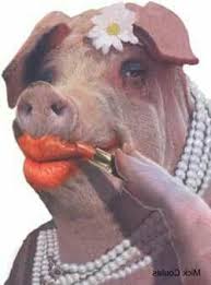 Pig In Lipstick Funny Pig Pictures Funny Pigs Pig Pictures