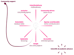how many transdisciplinary researchers