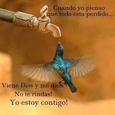 valientes