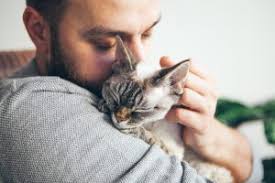 Eine katze zu sterilisieren ist ein zeichen von verantwortungsbewusstsein. Hauskatzen Kastrations Und Kennzeichnungspflicht Erna Graff Stiftung