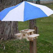 Runs For Cookies How To Build A Squirrel Picnic Table A Tutorial In 2020 Diy Picnic Table Diy Wooden Projects Picnic Table