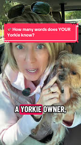 Understanding Dog Behavior: Submissive vs. Nervous Reactions