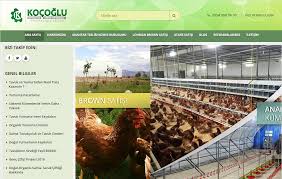 Www Yarkaburada Com Salma Tavukculuk Tavuk Ciftligi Yumurta Tavugu Tavukculuk Tavuk Yumurta