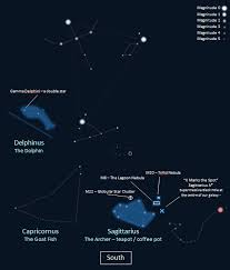 Featured Constellations An Archer Dolphin And A Goat