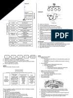 Different restriction enzymes produce dna fragments form the same dna molecule by having a restriction enzyme slice the dna into different fragments. Biology Form 4 Chapter 8 9 Food Web Chlorofluorocarbon