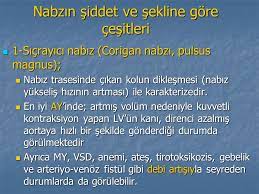 Kalbin hızını yansıtır yani kalbin 1 dakika içinde kaç kere kasıldığını gösterir.kalp her atışında bir miktar kanı aort (ana atardamar) ve daha sonra ondan ayrılan dallara yollar ve damarların esneye bilme özelliğinden dolayı atardamarlarda buna bağlı bir esneme oluşur. Kalbin Fizik Muayenesi Ppt Indir