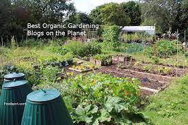 Unlike most gardening magazines, which tend to be their blog offers encouragement and tips for the novice to experienced vegetable gardener, as well as. Top 30 Organic Gardening Blogs And Websites In 2021