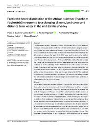 Image result for Chlorophytum bulbinifolium