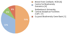 Image result for Seddera suffruticosa