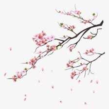 Cherry blossoms in anime hold various meanings and have become prevalent in japanese animation. Cherry Blossom Tree Png Images Free Transparent Cherry Blossom Tree Download Kindpng