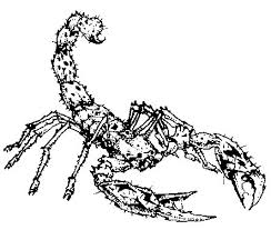 That is why we display the most common spelling of the name. Scorpion Wowwiki Fandom