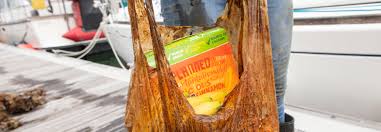 Study shows biodegradable plastic bags still hold groceries 3 ...