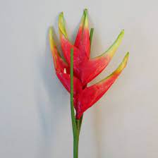 Check spelling or type a new query. Artificial Heliconia Red 83cm Artificial Flowers