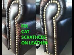 For instance, cats scratch to stretch specific muscles in their back. Easy Cat Scratch Leather Repair Youtube
