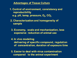 Check spelling or type a new query. èª²ç¨‹ç¶²é  Introduction The Use Of Animal Cell Culture What Is Cell Culture Cells Removed From Animal Tissue Or Whole Animals Ppt Download