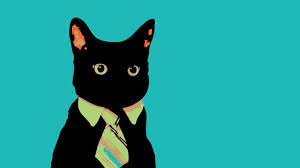 Pin Hd Wallpapers Business Cat Cat Wallpaper Cute Cat Wallpaper