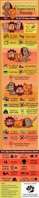 Dog And Cat Owners Everywhere Want To Do What Is Best For Their Beloved Animals This Infographic Has Some Great Information Cat Care Tips Pet Health Dog Care