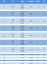 australian plus size swimwear size chart