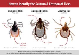 Tick Alert Turf Care Supply Corporation