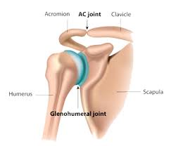 The shoulder is one of the largest and most complex joints in the body. Shoulder Anatomy Shoulder Injury Van Nuys Thousand Oaks Los Angeles Ca