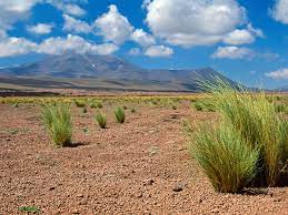 Check spelling or type a new query. Pdf Discover The Desert The Driest Place On Earth Discover Your World