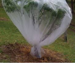 Fashion, home & garden, electronics, motors, collectibles & arts Protecting Fruit Trees And Wildlife Prevention Of Cruelty To Animals Pocta Act Animal Welfare Victoria Livestock And Animals Agriculture Victoria