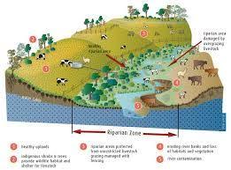 Pin By George On Riparian Zone Public Art Science Journal Groundwater