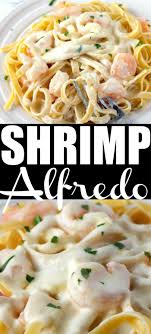 Shrimp Alfredo With Homemade Alfredo Sauce Pasta Recipes Alfredo Shrimp Alfredo Pasta Recipes Homemade Alfredo