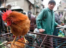 I had heard the word gripe aviar and i had assumed that aviar used as an adjective means de so my question: 87tjc0g0oqjkim